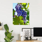 Poster Vignoble (Bureau à domicile)