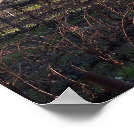 Poster Vignoble de Hearthstone à Paso Robles, CA (Coin)