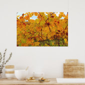 Poster Vignoble de Napa Valley (Cuisine)