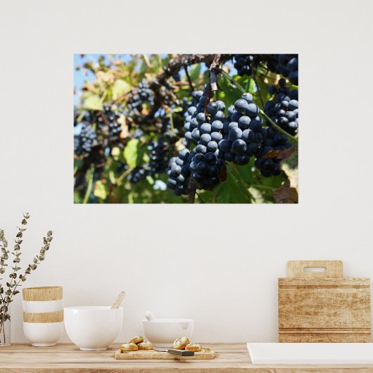Poster Vignoble de raisins (Cuisine)