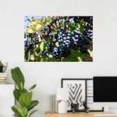 Poster Vignoble de raisins (Bureau à domicile)