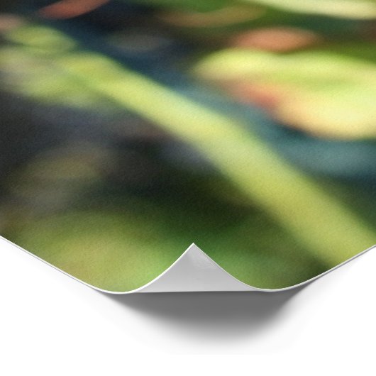 Poster Vignoble de raisins (Coin)