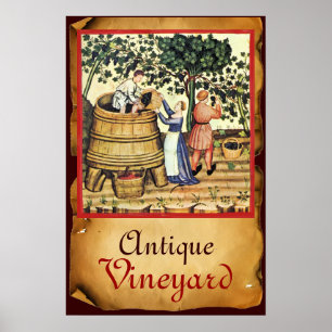 POSTER VIGNOBLE DE VIGNE ANTIQUE RÉCOLTE PARCHEMIN