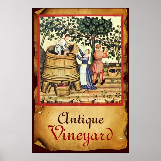 POSTER VIGNOBLE DE VIGNE ANTIQUE RÉCOLTE PARCHEMIN (Devant)