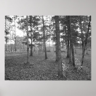 Poster Vignoble du Tennessee