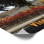 Poster : Vignoble et chêne aux couleurs d'automne (Coin)