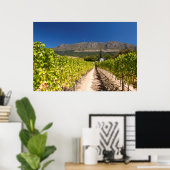 Poster Vignoble, Le Cap, Cap-Occidental, Afrique du Sud (Bureau à domicile)