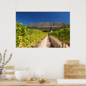 Poster Vignoble, Le Cap, Cap-Occidental, Afrique du Sud (Cuisine)