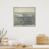 Poster Vignoble local, Fresno (Cuisine)