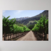 Poster Vignoble Napa Valley (Devant)