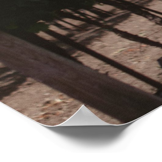 Poster Vignoble Napa Valley (Coin)