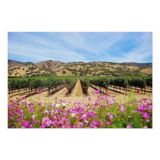 Poster Vignoble Napa Valley avec Cosmos (Devant)