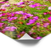 Poster Vignoble Napa Valley avec Cosmos (Coin)