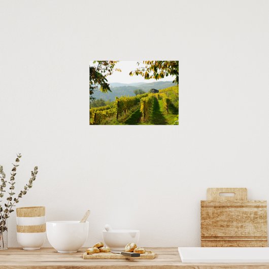Poster Vignoble près de Krems (Cuisine)