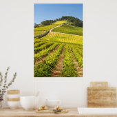 Poster Vignoble, Stellenbosch, Western Cape (Cuisine)
