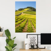 Poster Vignoble, Stellenbosch, Western Cape (Bureau à domicile)