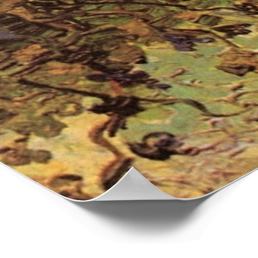 Poster Vignoble vert par Vincent van Gogh (Coin)