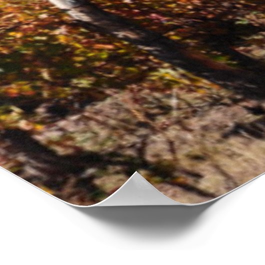 Poster Vignobles À L'Automne De Mendoza, Argentine (Coin)