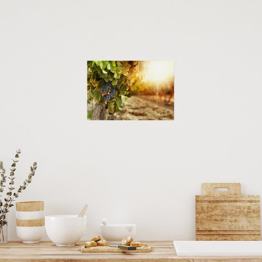 Poster Vignobles Au Coucher Du Soleil (Cuisine)