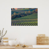 Poster Vignobles de la Vallée de la rivière russe (Cuisine)