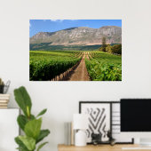 Poster Vignobles du domaine viticole Groot Constantia (Bureau à domicile)
