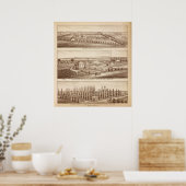 Poster Vignobles, ranch, Tulare Co, Calif (Cuisine)