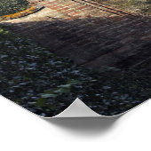 Poster Vignobles, Toscane, Italie (Coin)