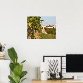Poster Vignobles, vignes petit verdot et cave à vin en (Bureau à domicile)