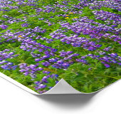 POSTER VIK, ISLANDE (Coin)