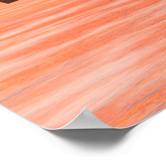 Poster Viking Longship Ventures (Coin)