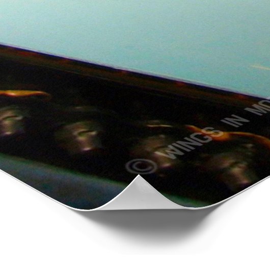 POSTER VIKING S-3B (Coin)