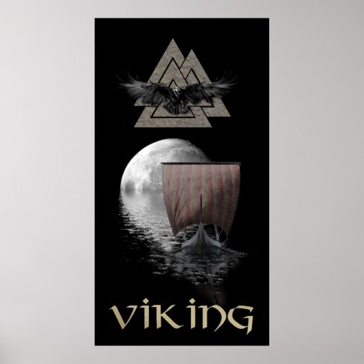 Poster Viking Warrior (Devant)