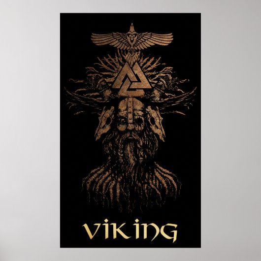Poster Viking Warrior (Devant)