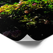 Poster Villa Bernasconi Cernobbio Lac de Côme Italie (Coin)