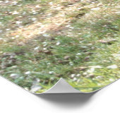 Poster Villa Bertramka-Mozart-Prague (Coin)