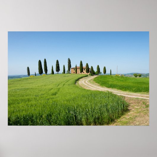Poster Villa de ferme avec cyprès en Toscane (Devant)