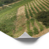 Poster Villa St. Andrea', Chianti Classico (Coin)