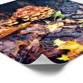 Poster Village des champignons (Coin)