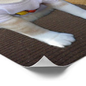 Poster Village Kitties (Coin)