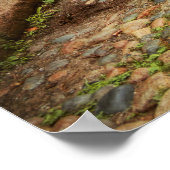 Poster Ville - Boston MA - Acorn Street (Coin)