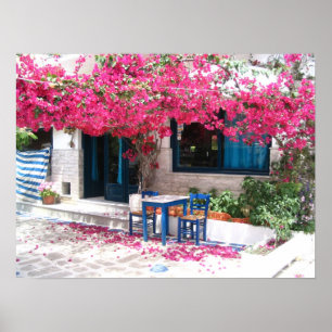 Poster ville de skiathos bougainvillea 1196