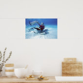 Poster Ville de Stingray, Grand Cayman, îles Caïmans, (Cuisine)