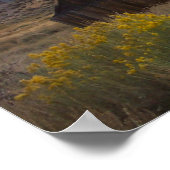 Poster Ville fantôme de Bodie (Coin)