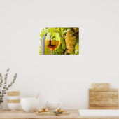 Poster Vin Blanc Et Raisins (Cuisine)