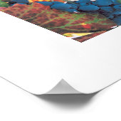 Poster Vin de Napa Valley, Vignoble (Coin)