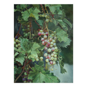 Poster Vin de raisin réaliste avec Feuille - Art