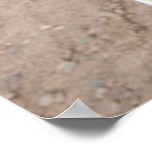 Poster Vin Rouge Dans Le Vignoble (Coin)