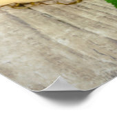 Poster Vin Rouge Vin Blanc Vin Raisins Vin Baril (Coin)