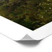 Poster Vinales (Coin)