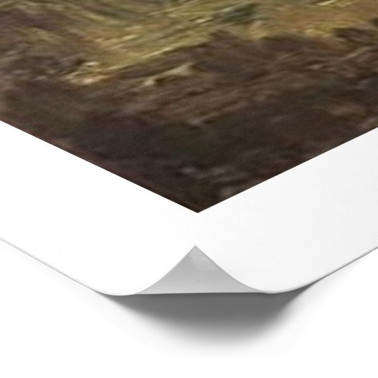 Poster Vincent van Gogh (Coin)